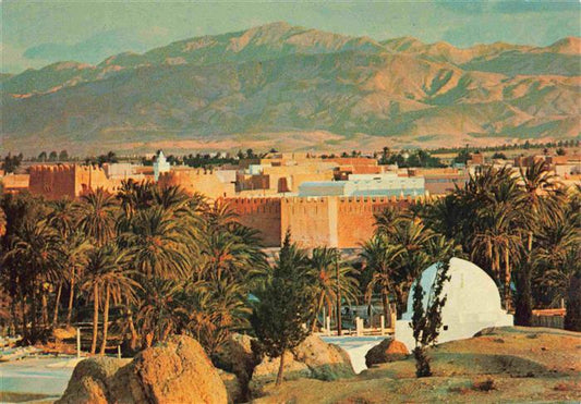 73999400 Gafsa Tunisia The oasis