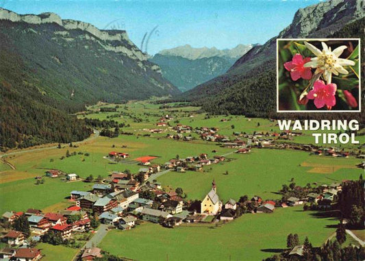 73999481 Waidring Tirol AT Panorama Alpen Edelweiss