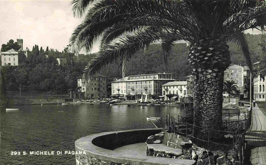 73999657 San Michele di Pagana Rapallo Ligurie IT Panorama