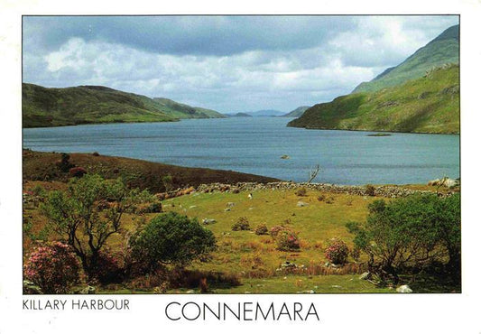 74000920 Connemara Irlande Killary Harbour