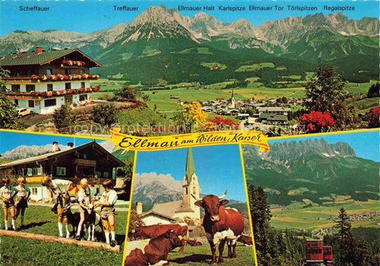 74002155 Ellmau Elmau Tirol AT Panorama Kaisergebirge Trachten Viehweide Kuehe K