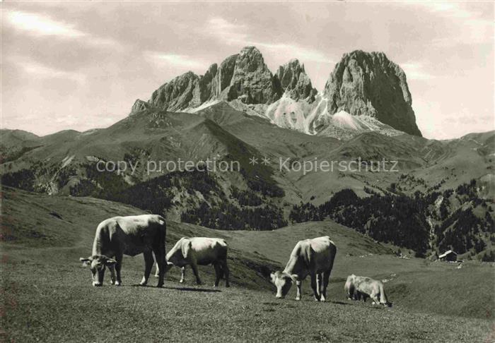 74003006 Dolomiti Dolomites IT Gruppo del Sassolungo