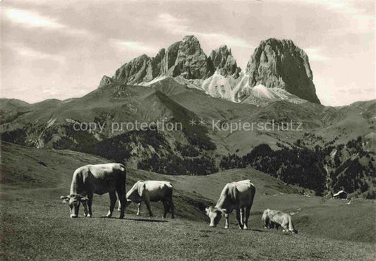 74003006 Dolomiti Dolomites IT Gruppo del Sassolungo