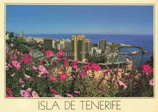 74003288 Puerto-de-la-Cruz Tenerife ES Panorama