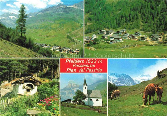 74003297 Pfelders Plan Trentino-Alto-Adige IT Panorama Hut Church Horses