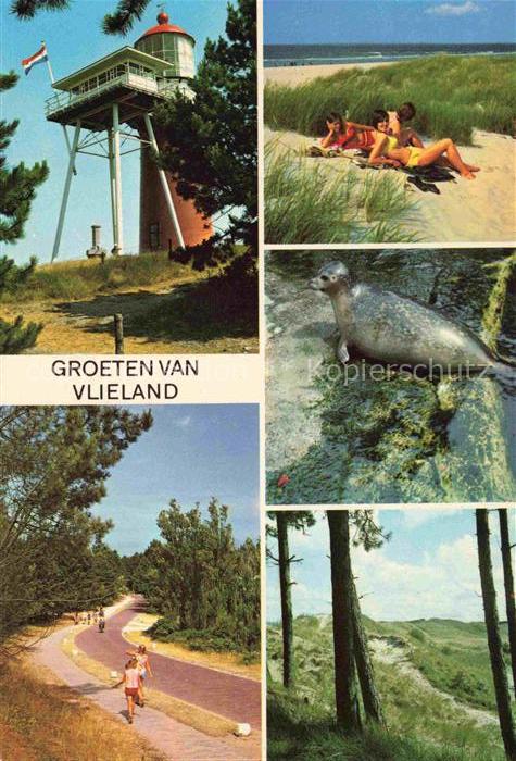 74003512 Vlieland Friesland NL Lighthouse Restaurant Fête sur la plage Chemin forestier Robbe