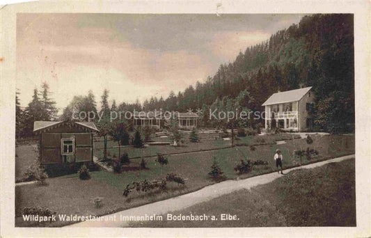 74003943 Bodenbach  Elbe-Tetschen DECIN Boehmen Ustecky Kraj CZ Wildpark Waldres