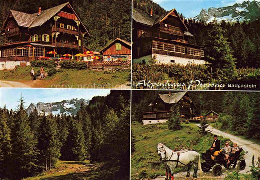 74004612 Badgastein BAD GASTEIN Pinzgau Pongau AT Alpenhaus Prossau Waldpartie P