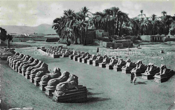 74003623 Karnak Egypte L'avenue des Sphinx