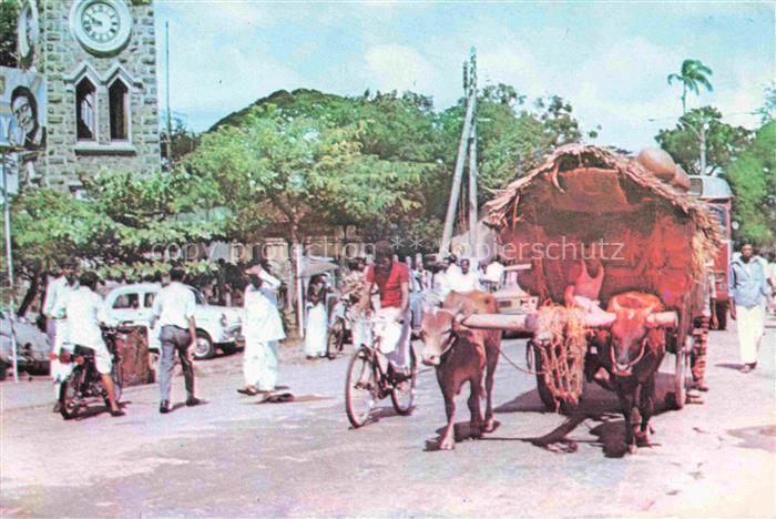 74005116 SRI LANKA Ceylon Bullock Cart