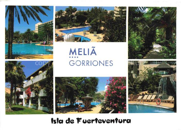 74005698 Fuerteventura Hotel Melia Gorriones Pools Parks