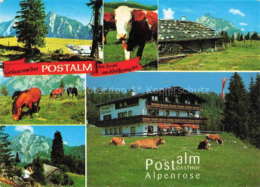 74005897 Strobl Wolfgangsee AT Postalm Gasthof Alpenrose Teilansichten