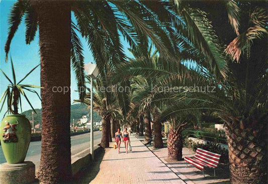 74005991 Diano Marina Ligurie IT Passeggiata delle Palme