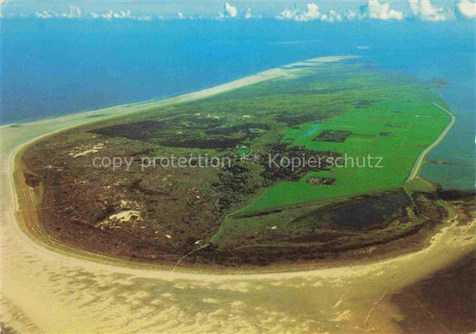 74005752 Schiermonnikoog Frise NL Oasis dans les Wadden