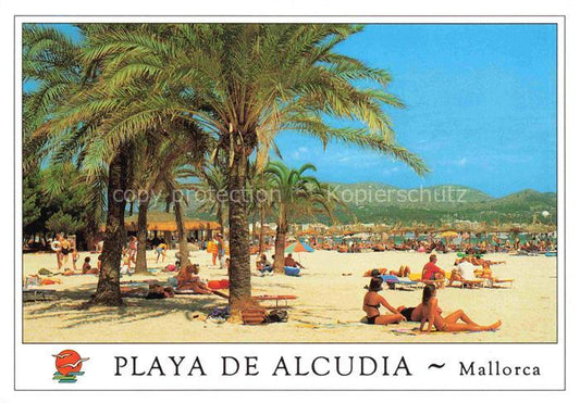 74006190 Alcudia Mallorca ES La playa