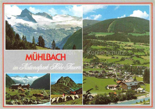 74009495 Muehlbach  Suedtirol IT im Nationalpark Hohe Tauern Habachtal Fliegerau