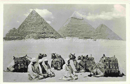 74011598 Kamele  Camel Chameau-- U.A.R. Egypt