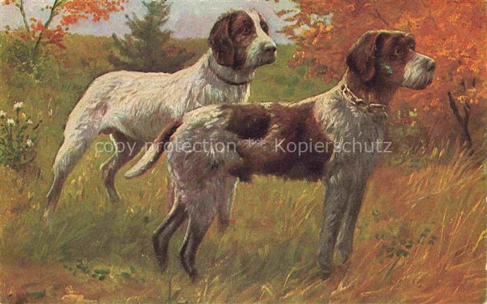 74011615 Hunde dogs chiens D.G.Z. Kuenstlerkarte