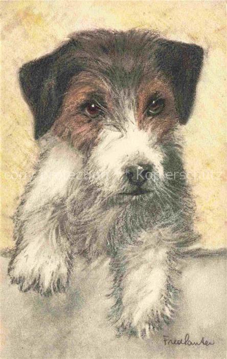 74011617 Kuenstlerkarte Fox Terrier Nr. 69 Hund Braun Weis