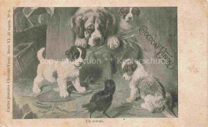 74011621 Hunde dogs chiens Chocolat Vinay Nr. 6 Rabe