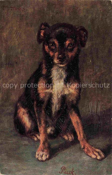 74011623 Hunde dogs chiens Erpaco fatsilile oelgemelde Junger Hund