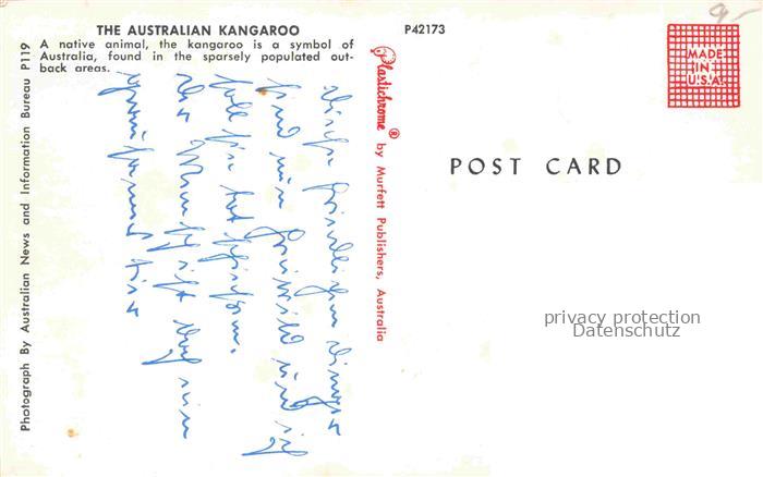 74011705 Kaenguru Kangaroo Kangourou Canguro-- Australian mit Kind