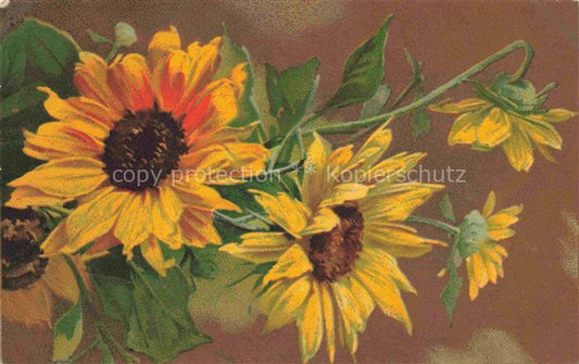 74011820 Sonnenblumen Blumen Flowers Fleurs Kuenstlerkarte