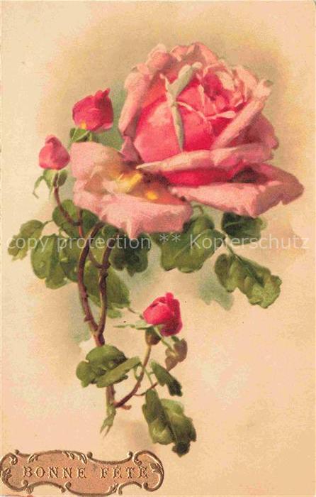 74011952 Rosen Roses Rosas-- Litho RosaBonne Fete