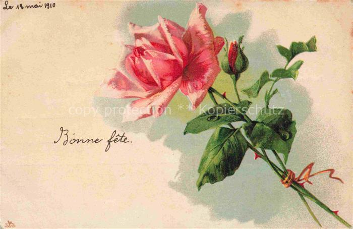 74011953 Rosen Roses Rosas-- Litho Rosa Nonne fete