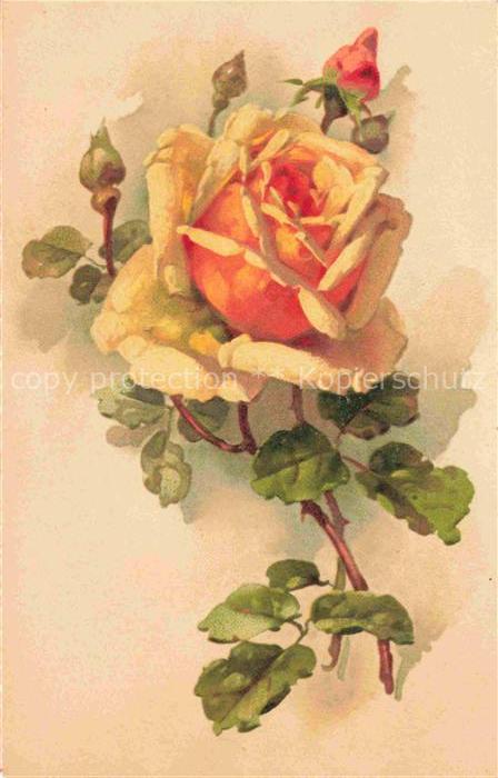 74011955 Rosen Roses Rosas-- Litho Gelb