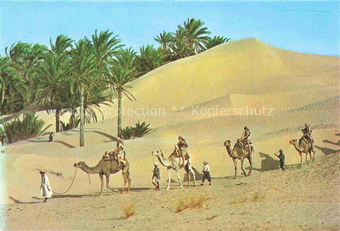 74017033 Kamele  Camel Chameau-- Tunesien Karavwan Sahara