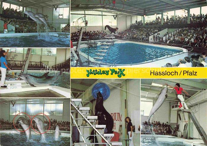 74017037 Delphine Dolphins Dauphins Delfines Holiday Park Hassloch Pfalz