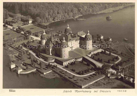 74017346 Foto Hahn Nr. 13038 Schloss Moritzburg bei Dresden