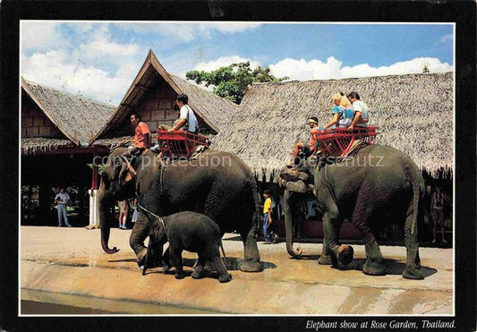 74017353 Elefant Thailand Rose Garden