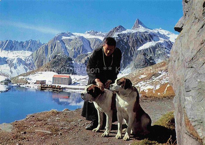 74017357 Bernhardiner Hund Dog Chien Au Col du Grand Saint Bernard Religieux de