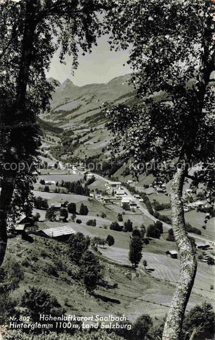 74009632 Saalbach -Hinterglemm AT Panorama