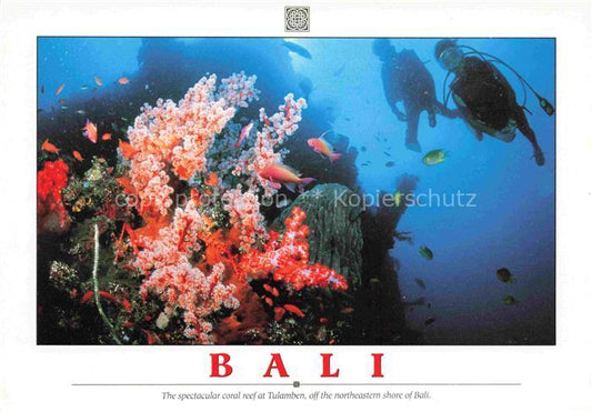 74010052 Bali  Indonesia The spectacular coral at Tualmben off the northeastern