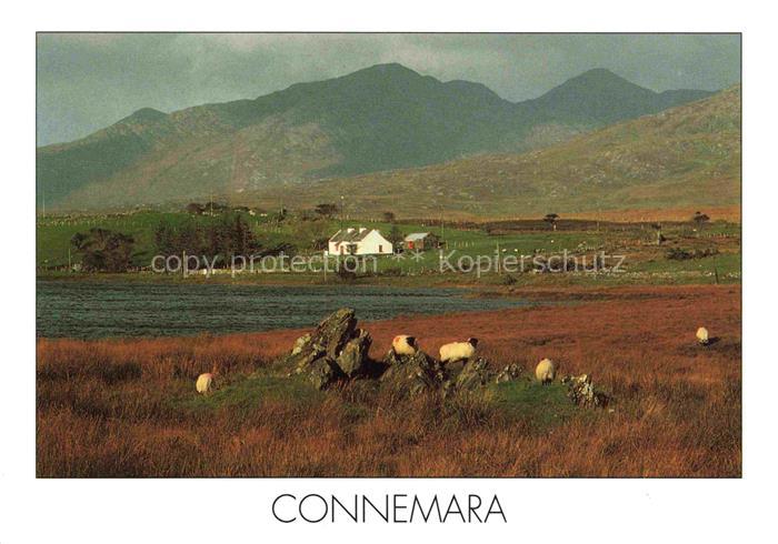 74012680 Connemara Ireland Panorama Maamturk Mountains