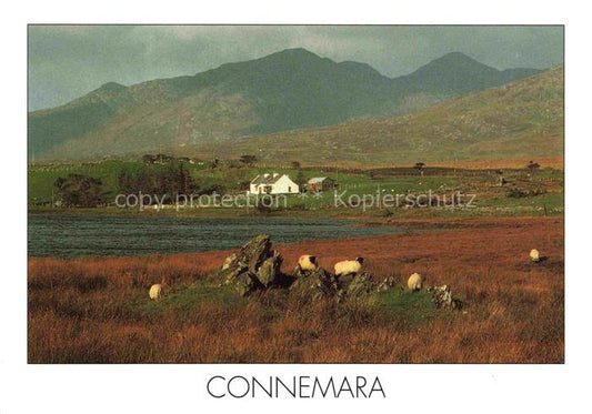 74012680 Connemara Ireland Panorama Maamturk Mountains