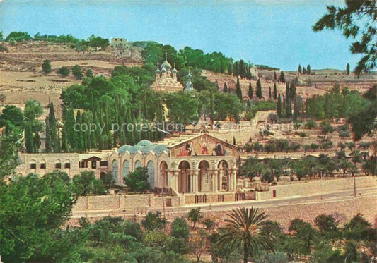 74012451 Jerusalem  Yerushalayim Israel Basilica and Gardens of Gethsemane