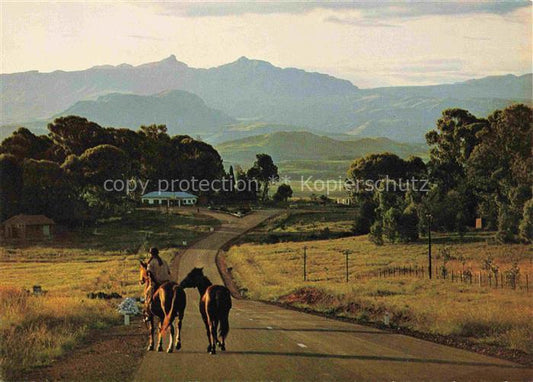 74012471 Underberg Natal Southafrica Panorama Pferde