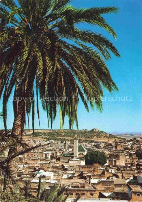 74013938 Fes  Fez Maroc Panorama de la Medina