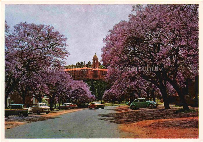 74013952 Pretoria Union Buildings with Jacrandas in full bloom