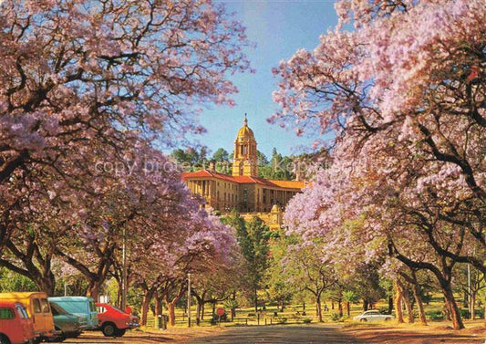 74013962 Pretoria Jacaranda Time Union Buildings