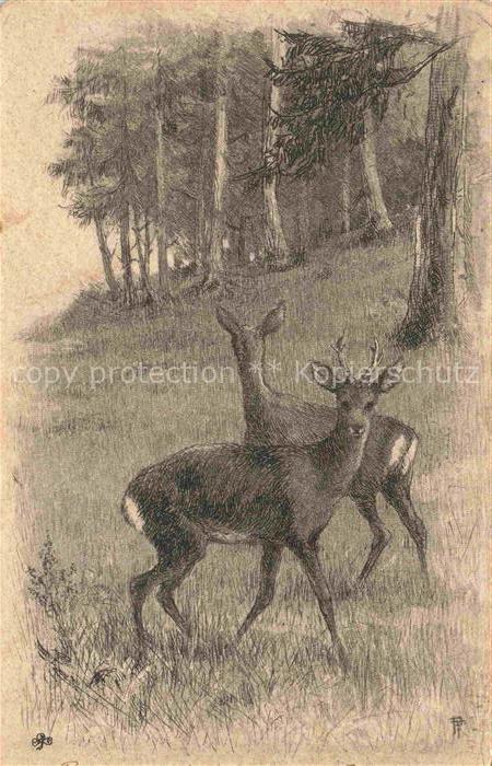 74021786 Rehe Roe Deer Chevreuil Corzo-- Wald