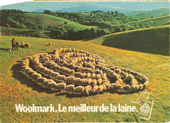 74022991 Schaeferei Sheperding Bergerie-- Woolmark Le meilleurde la laine