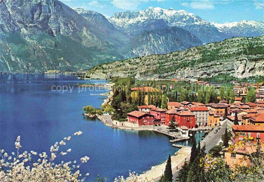 74013544 Torbole Lago di Garda IT Panorama Gardasee Alpen