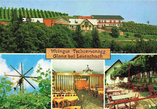 74013705 Leutschach Weingut Tschermonegg Gastraum Gartenterrasse