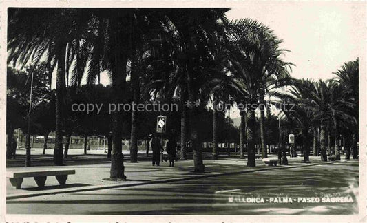 74014532 Palma de Mallorca ES Paseo Sagrera