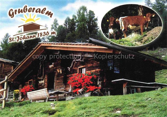 74015577 St Johann Ahrntal Suedtirol IT Gruberalm Kuehe